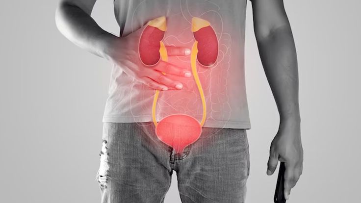 urology